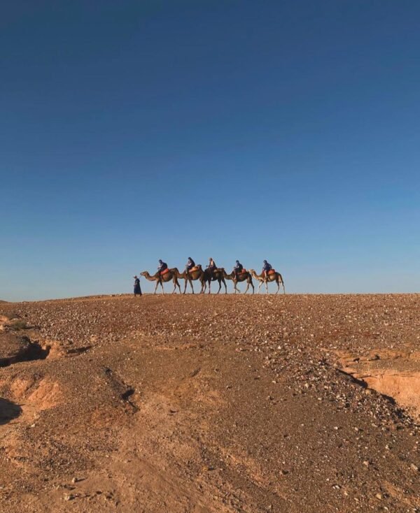 AGAFAY DESERT DINER and CAMELS - Image 2