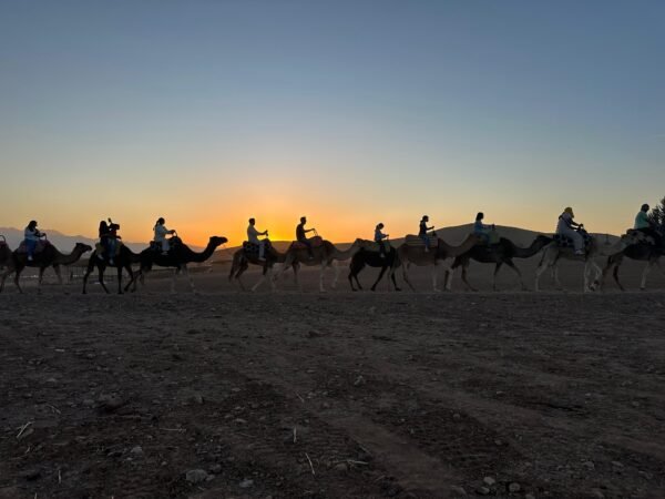 AGAFAY DESERT DINER and CAMELS - Image 3