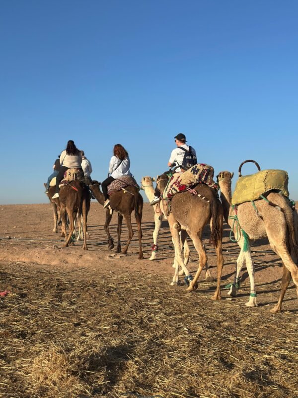 AGAFAY DESERT DINER and CAMELS
